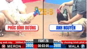 Trận 26 CPC3 16/3/2025 - Gà Bướm Chú Phúc Đá Toàn Đâm Mu Lưng