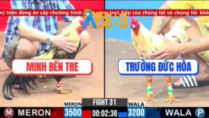 Trận 31 CPC3 4/3/2025 - Má Minh Bú Cái Xổ 200 Ngon Lành