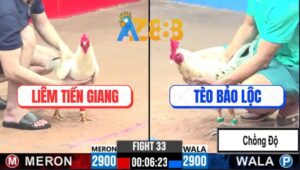 Trận 33 CPC3 5/3/2025 - Gà Bướm Anh Tèo Bảo Lộc Lên 2 Nhẹ Nhàng