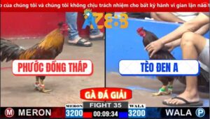 Trận 35 CPC2 2/3/2025 - Anh Bảo Sting Cứu Gà, Phản kèo 5 Lai Kinh Điển