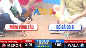 Trận 35 CPC3 19/3/2025 - Anh Mắm Vũng Tàu Hạ Bồ Gà C3 B Lụm Gần 2 Tỷ