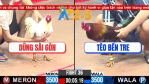 Trận 36 CPC3 4/3/2025 - Anh Dũng Đãi Sinh Nhật Trong Ngoài Gần Tỷ