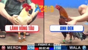 Trận 4 CPC2 2/3/2025 - Đứng Mẻ Hiệu Tính GaKing Buông Ra Là Có Lúa