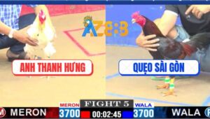 Trận 5 CPC1 13/3/2025 - Gà Điều Anh Quẹo La Miệng Về Sài Gòn Vẫn Nghe