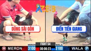 Trận 54 CPC3 1/3/2025 - Gà Anh Dũng Canh Chặn 1 Chân Hốt Xác Đối Thủ