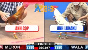 Trận 8 CPC2 5/3/2025 - Gà Bướm Anh Lukaku Đâm Không Bỏ Chân Nào