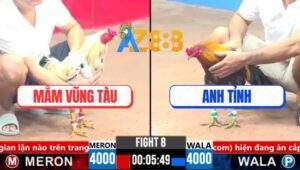 Trận 8 CPC3 19/3/2025 - Gà Bướm Anh Mắm Vũng Tàu Đưa Điện Ra Đảo