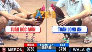 Trận 27 CPC3 7/5/2025 - Gà Điều Anh Tuấn Hóc Môn Li Đòn Gồng Phản Ăn 1