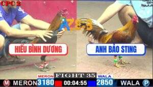 Trận 35 CPC2 4/5/2025 - Khét Anh Bảo Sting Nhỏ Mà Đâm Bự Không Kịp Thở