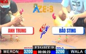 Trận 9 CPC1 15/5/2025 - Bảo Sting Thả Gà Bướm Hiệu Đá Đối Thủ Tơi Bời