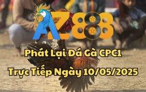 Video Phát Lại Đá Gà CPC1 Trực Tiếp Ngày 10/05/2025
