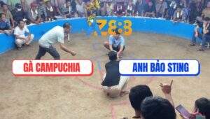 Anh Bảo Sting Lần Đầu Biểu Diễn Tại Bồ Dinh Bà - Đồng Tháp 21/6/2025