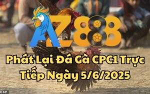 Phát Lại Đá Gà CPC1 Trực Tiếp Ngày 05/06/2025