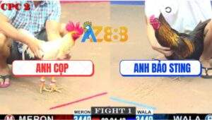 Trận 1 CPC2 6/6/2025 - Anh Bảo Sting Và Anh Cọp Bất Phân Thắng Bại