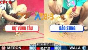 Trận 12 CPC2 27/7/2025 - Camelo Anh Bảo Sting Có Chân Cứu Chủ Quá Hay