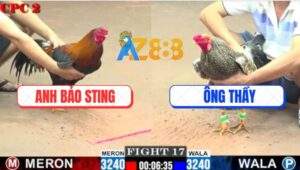 Trận 17 CPC2 9/7/2025 - Điều Anh Bảo Sting 1 Cước Hạ Gà Cú Ông Thầy