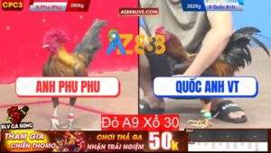 Trận 19 CPC3 12/7/2025 - Phu Phu Nhử Gà Lở Tay Khiến Đối Thủ Đăng Xuất