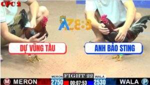 Trận 22 CPC2 9/7/2025 - Anh Bảo Sting Rớt Nài Với Anh Dự Vũng Tàu