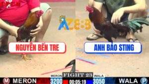 Trận 23 CPC2 16/7/2025 - Điều Cọp Bảo Sting Siết 3 Chân Gom Lúa Đầy Bồ