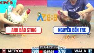 Trận 28 CPC2 27/7/2025 - Anh Bảo Sting Và Anh Nguyên Một Chín Một Mười