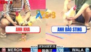 Trận 3 CPC2 16/7/2025 - Khét Sữa Nuốt Ói Hạ Úa Hiệu Anh Bảo Sting