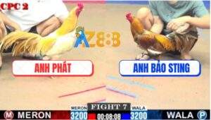 Trận 7 CPC2 20/7/2025 - Khét Sữa Đá Gà Khét Anh Bảo Sting Lìa Giò
