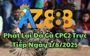 Phát Lại Đá Gà CPC2 Trực Tiếp Ngày 01/08/2025
