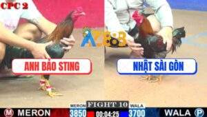 Trận 10 CPC2 6/8/2025 - Điều Cọp Bảo Sting Đá Không Kịp Tha Lơ