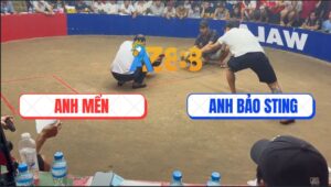 Trận 7 Bồ TonHon 27/9/2025 - Chuối Cọp Bảo Sting Đang Đá Quay Đầu Chạy