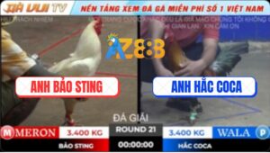 Trận 21 TonHon 18/10/2025 - Gà Điều Có Chân Xạo Lờ Hạ Gà Úa Bảo Sting