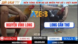 Trận 41 TonHon 18/10/2025 - Gà Điều Đang Đi Nữa Đương Thì Sổ Huyết