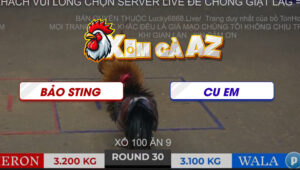 TRAN 30 TON HON 2112025