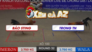 TRAN 32 TON HON 2112025