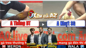 Trận 26 CPC5 25/12/2025