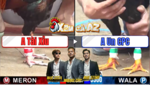 Trận 9 CPC3 28/12/2025