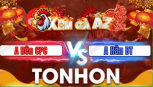 Trận 10 Tonhon 31/12/2025