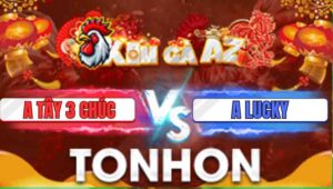 Trận 27 Tonhon 31/12/2205