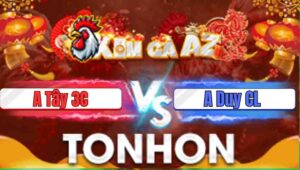 Trận 33 Tonhon 31/12/2205