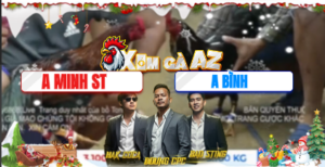 Trận 13 Bồ Tonhon 10/12/2025 - Điều Cọp Anh Minh Ly Chồng Độ Và Cái Kết