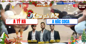 Trận 15 Bồ Tonhon 24/12/2025 - Hắc Coca Tiếp Tục Gom Phiếu Gặp Thứ Dữ