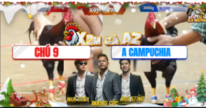 Trận 11 Bồ Tonhon 11/12/2025 - Chú 9 Đụng Với Cánh Cam Và Cái Kết Té Ngửa Phút 90