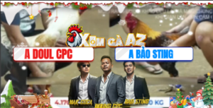 Trận 22 Bồ Tonhon 10/12/2025 - Bảo Sting Chấp Bòn Doul Hơn 3 Chấm Gà Và Cái Kết