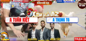 Trận 24 Bồ Tonhon 29/12/2025 - Trọng Tiền Giang Đưa Úa Cọp Vào Đá Giết Đối Thủ