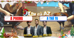 Trận 17 Bồ CPC4 16/12/2025 - Gà Cọp Anh Phong Bị Đá Phủ Đầu Nhưng Phản Thành Công