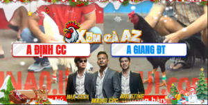 Trận 17 Bồ CPC5 24/12/2025 - Que Cọp Anh Giang Nhảy 3 Nốt Nhạc Úa Té Xe