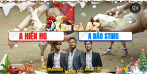 Trận 41 Bồ Tonhon 10/12/2025 - Bảo Sting Vào Luồng Xui Hôm Nay Tại Bồ