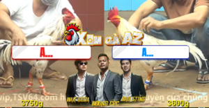 Trận 24 Bồ CPC4 29/12/2025 - Bướm Cắt Ăn Đẳng Cấp Ở Phút 90 Kịch Tính