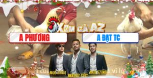 Trận 6 Bồ CPC4 17/12/2025 - Gà Úa Phương Cần Thơ Đâm Như Chĩa Hạ Anh Đạt