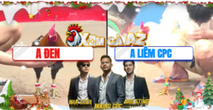 Trận 29 Bồ CPC3 21/12/2025 - Gà Anh Tính Gồng Cựa Tiếp Tục Phản Ăn Ngược