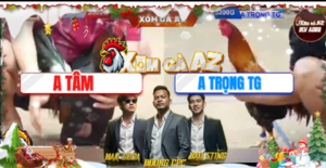 Trận 20 Bồ Tonhon 22/12/2025 - Trọng Tiền Giang Gom Sạch Phiếu Bồ Và Cái Kết